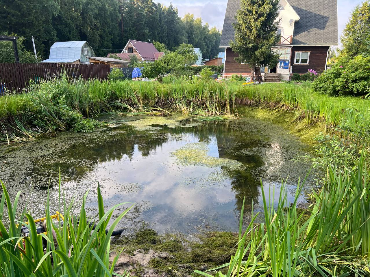 Удаление камыша и водорослей из прудов