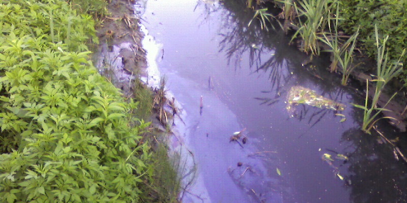 загрязнение рек
