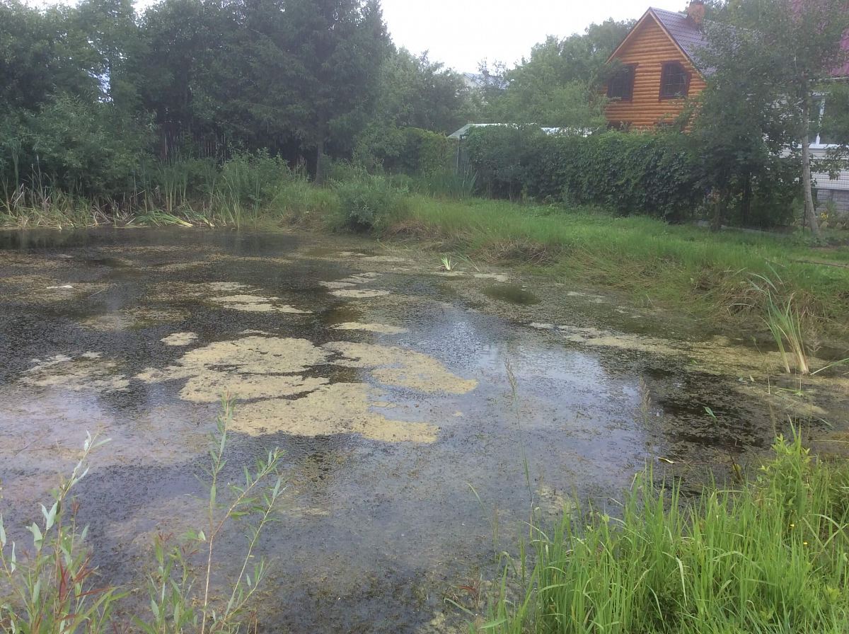 Восстановление пожарного пруда в Ступинском районе