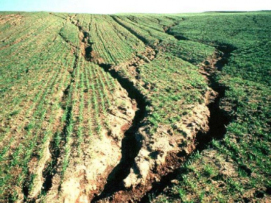 Восстановление антропогенно деградированных почв земель сельскохозяйственного назначения